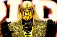 Goldust is one of the WWE's longest-serving workers
